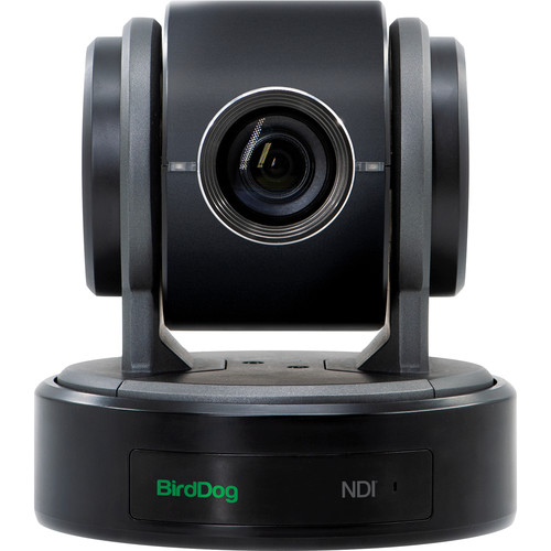 BirdDog Eyes P100 1080p Full NDI PTZ Camera (Black)